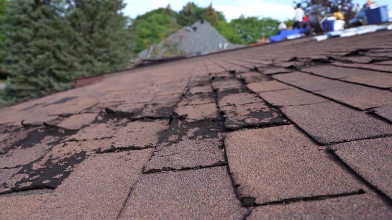 Cold Roofs in Eden, NC